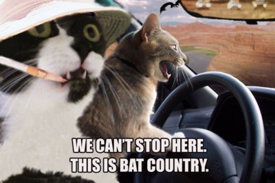 We can't stop here, this is bat country.