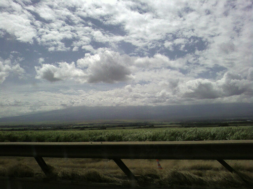 The Land, headed Upcountry on Maui