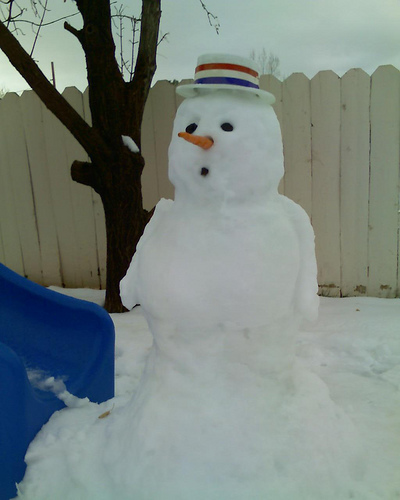Snowman by Ty and Tony